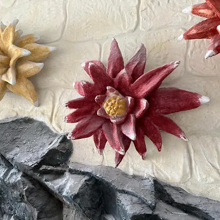 Отель Dahlia Garden 3*