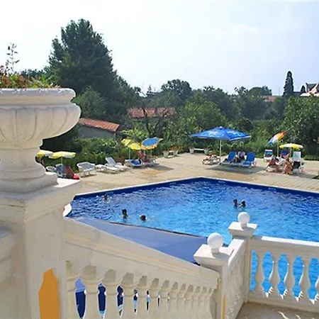 Dahlia Garden Altın Kumlar